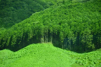 DSC_3671 (Large).JPG